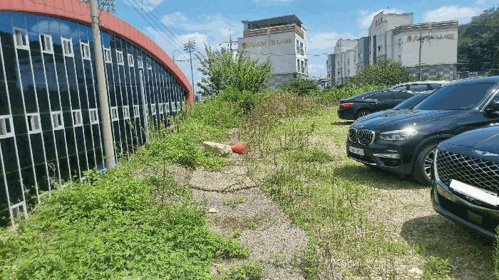 법원경매 2025타경421 사진9 | 구미시 남통동 137 답 경매