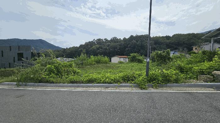 법원경매 2025타경431 사진3 | 김천시 어모면 도암리 1486 대지 경매