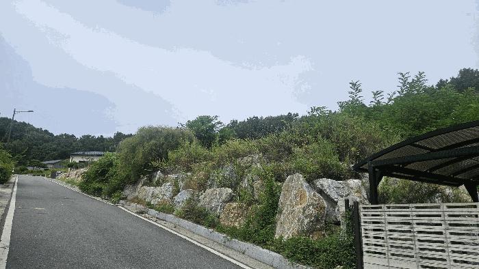 법원경매 2025타경431 사진4 | 김천시 어모면 도암리 1486 대지 경매