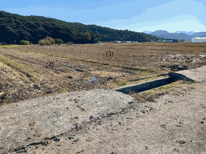 2025타경34264 법원경매 사진11 | 전남 장성군 주택건물 경매