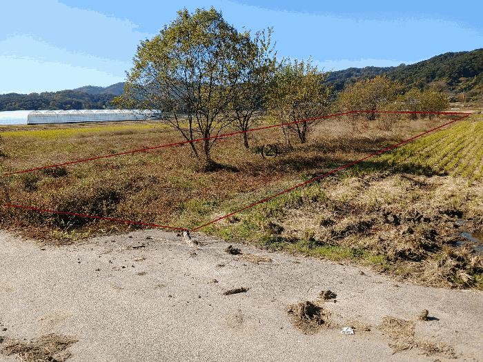2025타경34264 법원경매 사진4 | 전남 장성군 주택건물 경매