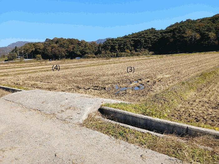 2025타경34264 법원경매 사진5 | 전남 장성군 주택건물 경매