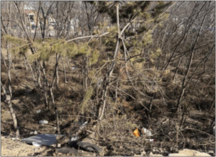 2026타경30328 법원경매 사진8 | 전남 나주시 과수원 경매