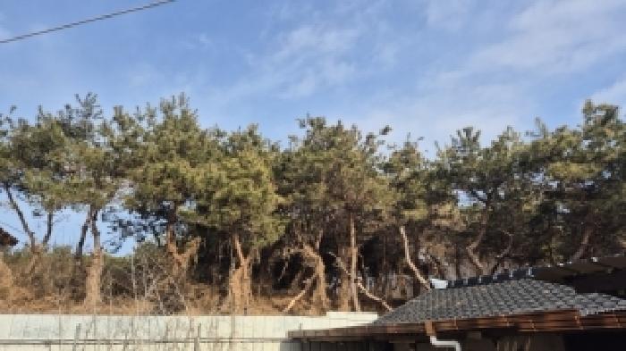 2026타경30328 법원경매 사진9 | 전남 나주시 과수원 경매