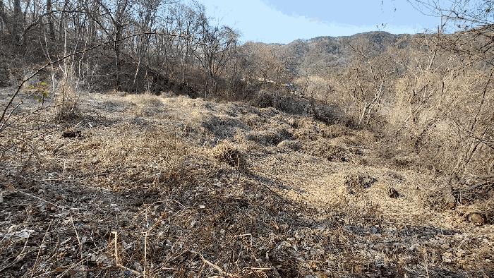 전남 담양군 월산면 중월리 217 답 경매 물건 사진