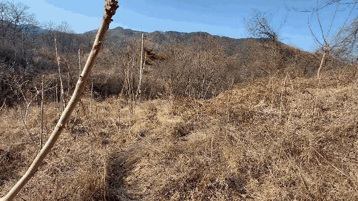 전남 담양군 월산면 중월리 217 답 사진 3