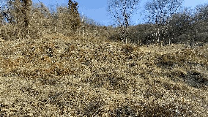 전남 담양군 월산면 중월리 217 답 사진 6