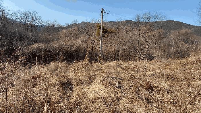 2026타경30658 법원경매 사진8 | 전남 담양군 답 경매
