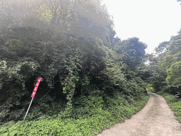 경상북도 영덕군 축산면 조항리 산81 법원경매 물건 대표사진