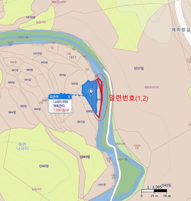 법원경매 2025타경10306 사진5 | 울진군 북면 나곡리 1000 임야 경매