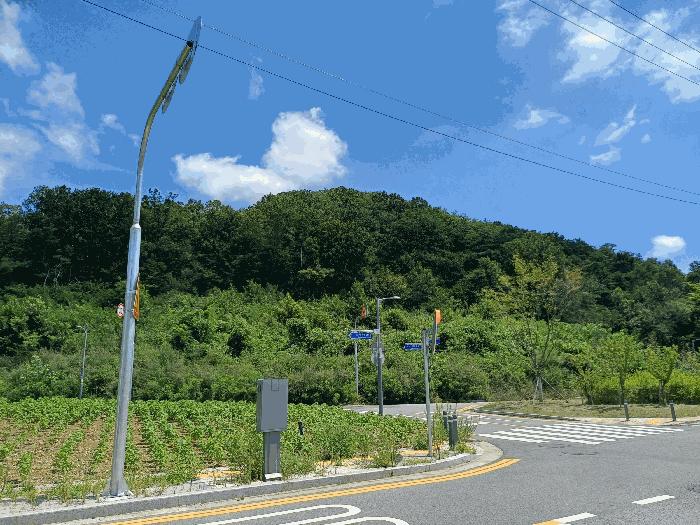 법원경매 2025타경11288 사진2 | 구미시 거의동 임야 경매