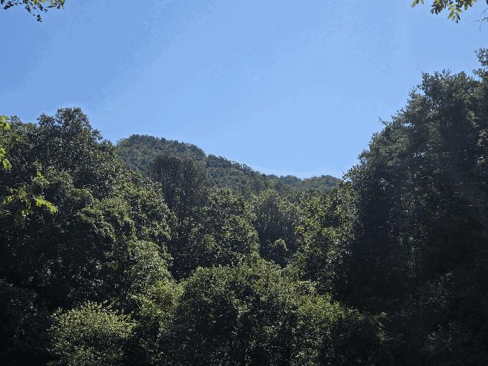 법원경매 2025타경2138 사진2 | 홍천군 서면 중방대리 임야 경매