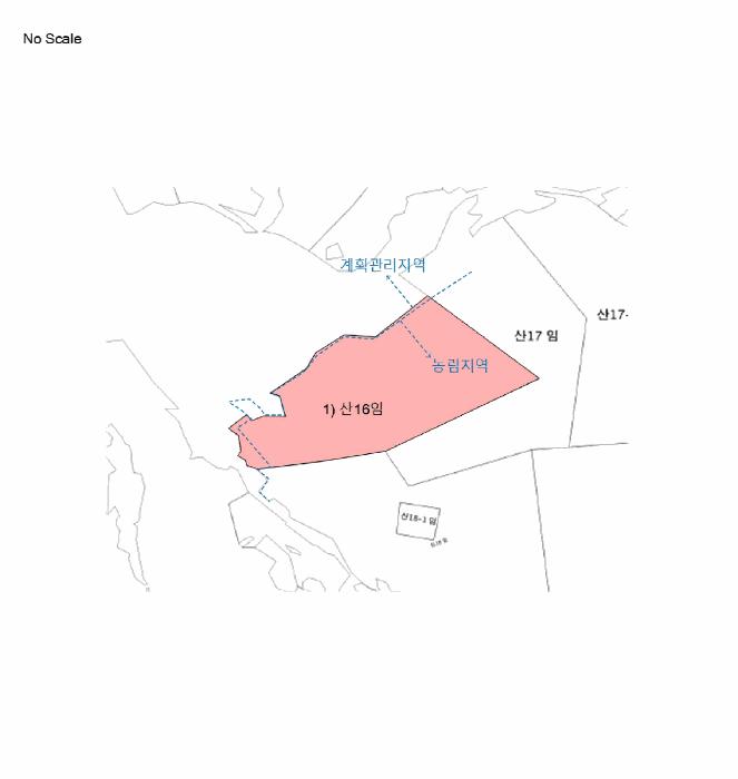 법원경매 2025타경2138 사진6 | 홍천군 서면 중방대리 임야 경매