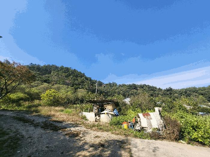 강원특별자치도 횡성군 안흥면 소사리 산216-1 법원경매 물건 대표사진