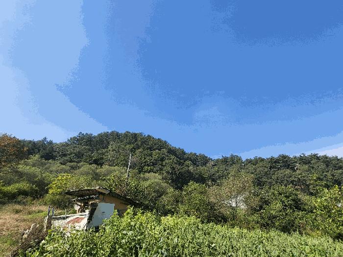 법원경매 2025타경794 사진2 | 횡성군 안흥면 소사리 임야 경매