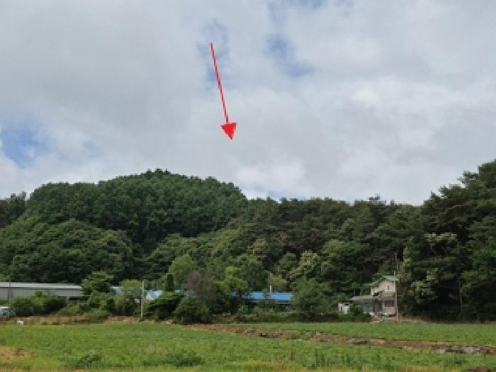 법원경매 2025타경794 사진3 | 횡성군 안흥면 소사리 임야 경매