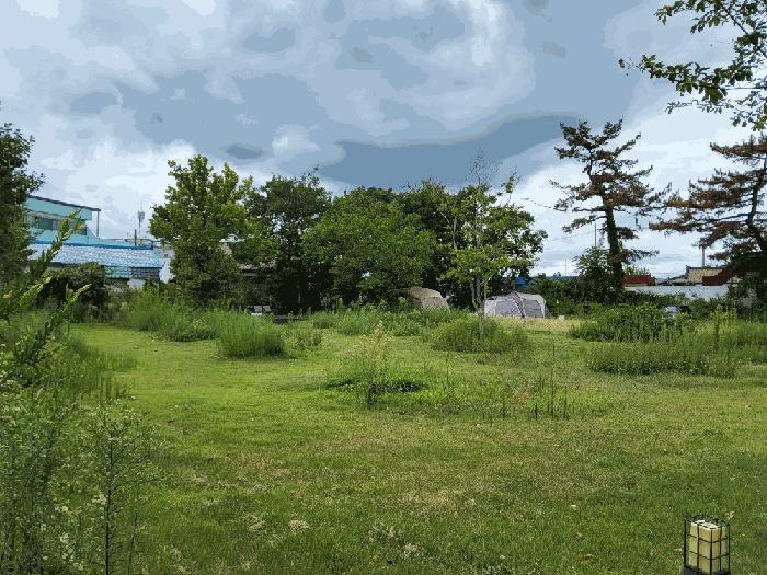 경북 포항시 남구 청림동 1-323 근린시설 사진 2