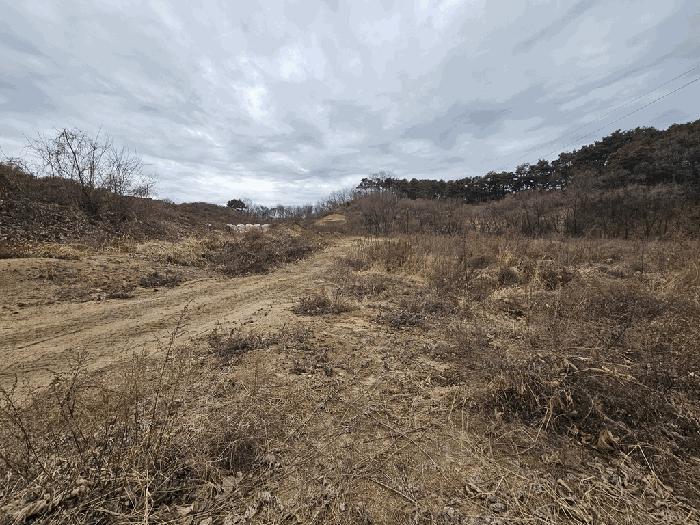 법원경매 2025타경20692 사진4 | 횡성군 우천면 우항리 59-6 대지,임야,전답 경매