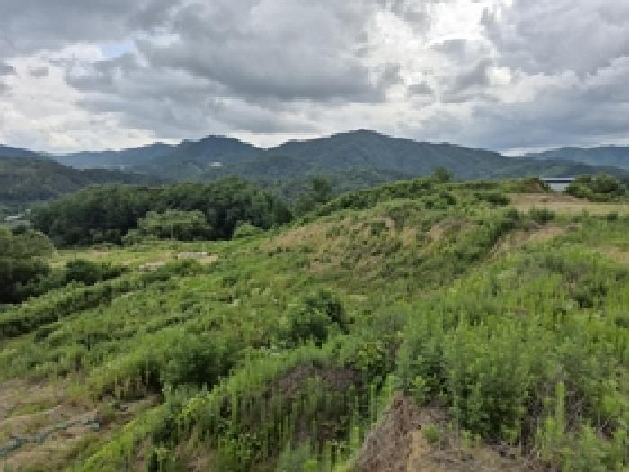법원경매 2025타경20692 사진9 | 횡성군 우천면 우항리 59-6 대지,임야,전답 경매