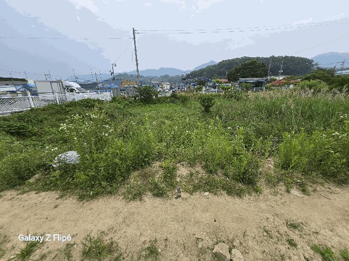 충남 논산시 연산면 연산리 365 답 사진 2