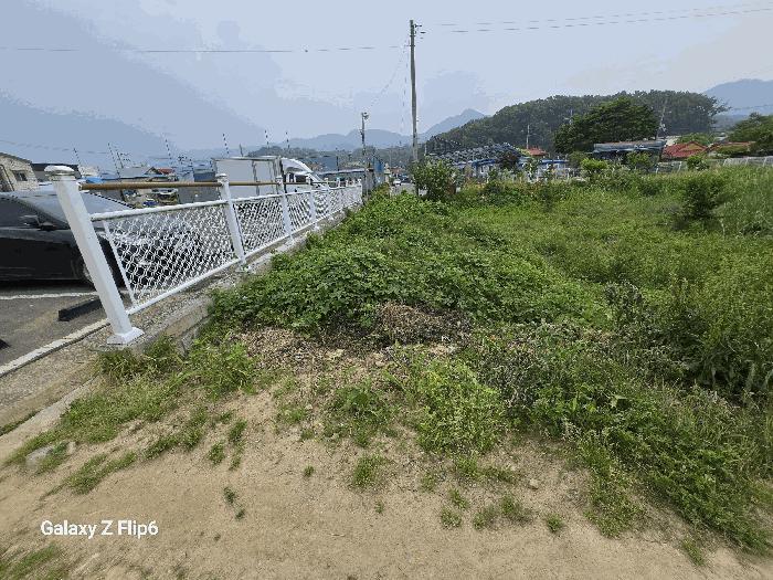 충남 논산시 연산면 연산리 365 답 사진 3
