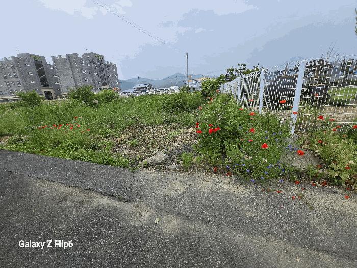 충남 논산시 연산면 연산리 365 답 사진 5