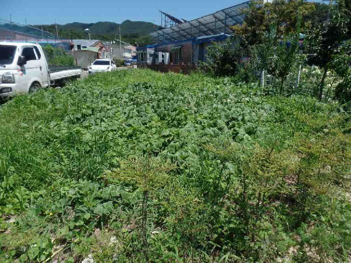 2025타경20357 법원경매 사진9 | 충남 논산시 답 경매