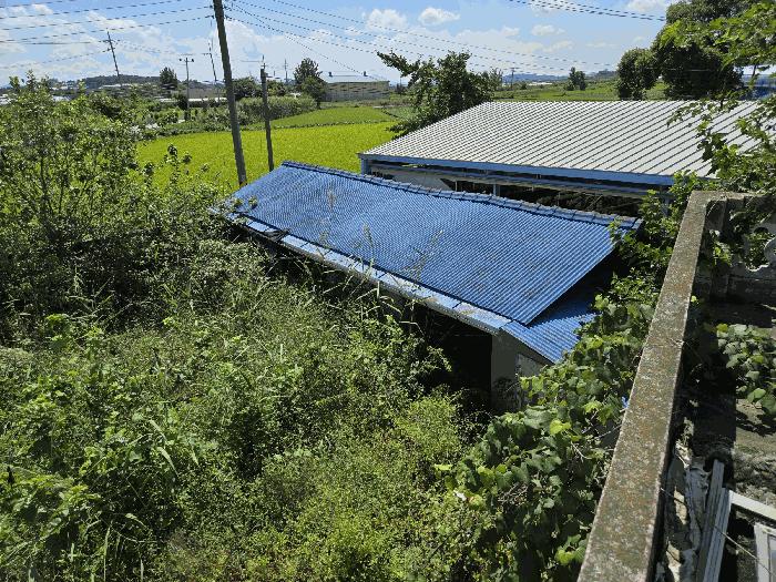 충남 논산시 상월면 숙진리 832-2 답 사진 6