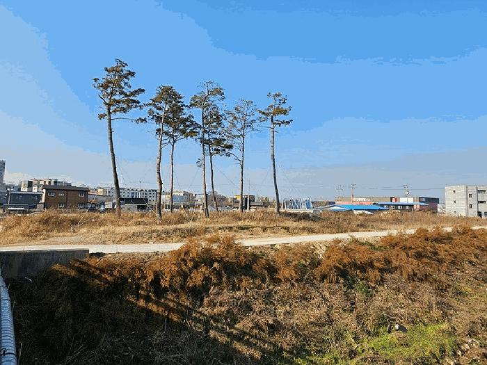 법원경매 2025타경42957 사진9 | 평택시 신장동 60 답 경매