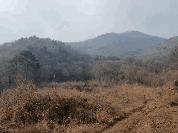 경기도 안성시 죽산면 칠장리 산82-28 법원경매 물건 대표사진