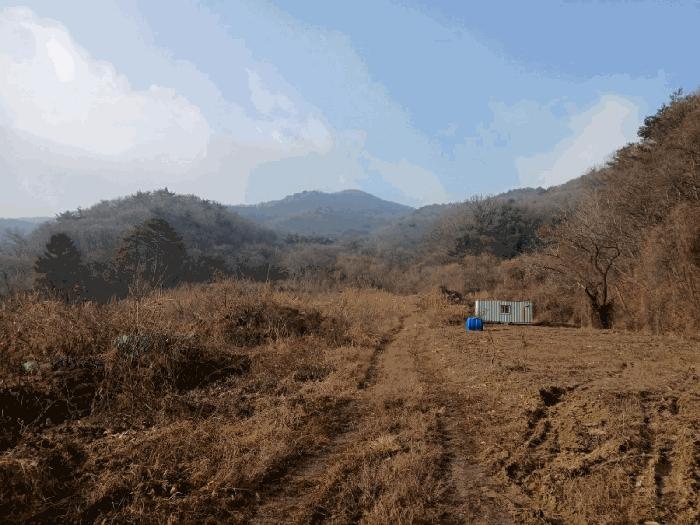 법원경매 2025타경43175 사진3 | 안성시 죽산면 칠장리 임야 경매