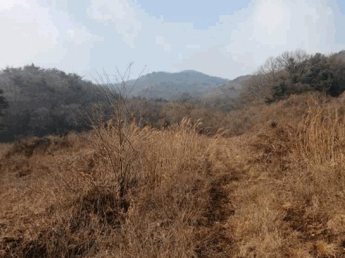 법원경매 2025타경43175 사진4 | 안성시 죽산면 칠장리 임야 경매