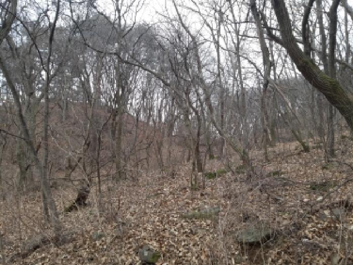 법원경매 2025타경43175 사진7 | 안성시 죽산면 칠장리 임야 경매