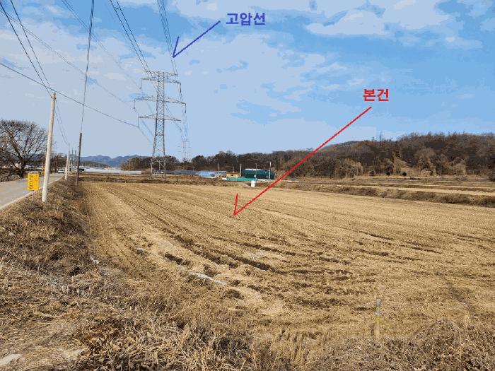 법원경매 2025타경43206 사진3 | 안성시 대덕면 삼한리 712-11 답 경매