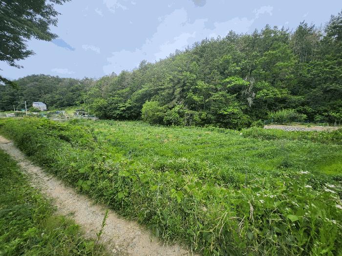 법원경매 2025타경569 사진2 | 부산 기장군 장안읍 오리 311 답 경매