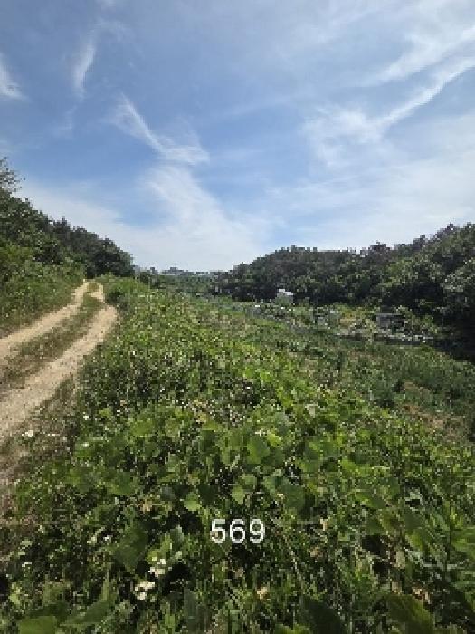 법원경매 2025타경569 사진6 | 부산 기장군 장안읍 오리 311 답 경매