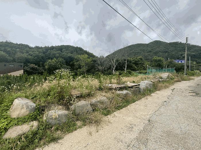 법원경매 2025타경5446 사진2 | 부산 기장군 장안읍 장안리 임야 경매