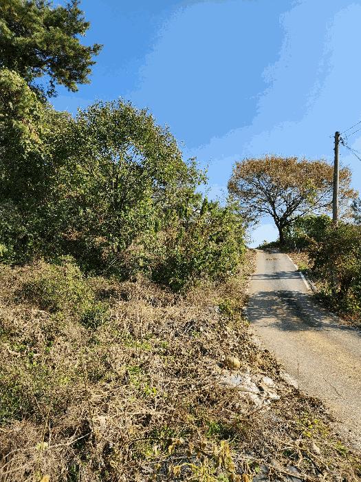 충청북도 음성군 금왕읍 육령리 산81-3 법원경매 물건 대표사진
