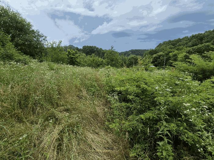 충청남도 금산군 금성면 마수리 115 법원경매 물건 대표사진