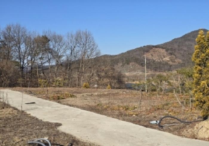 2025타경31012 법원경매 사진12 | 충북 충주시 임야 경매