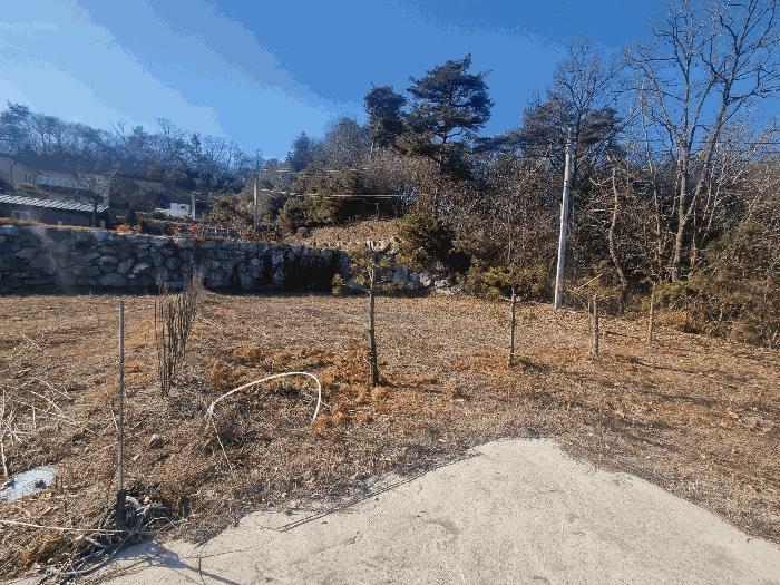 2025타경31012 법원경매 사진4 | 충북 충주시 임야 경매