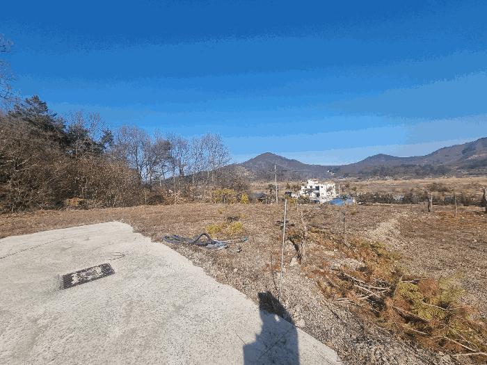 2025타경31012 법원경매 사진8 | 충북 충주시 임야 경매