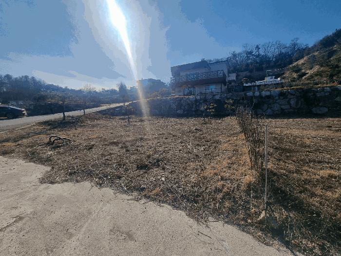 2025타경31012 법원경매 사진9 | 충북 충주시 임야 경매