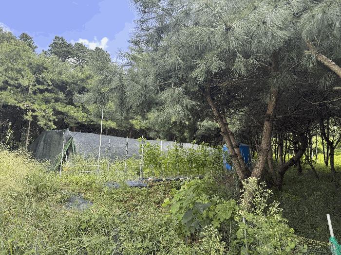 대전 유성구 구룡동 235 전 사진 5