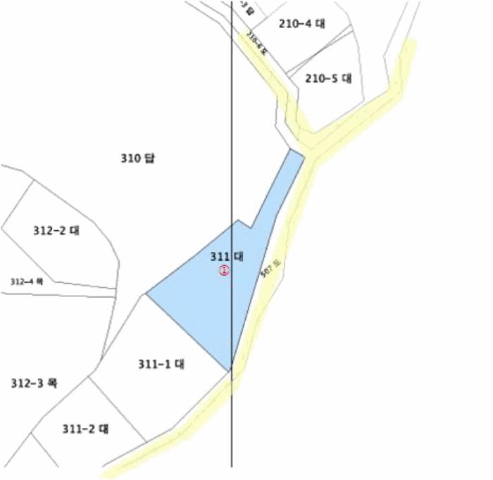 2025타경503480 법원경매 사진13 | 세종 장군면 대지 경매