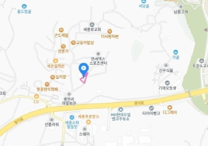2025타경503480 법원경매 사진14 | 세종 장군면 대지 경매