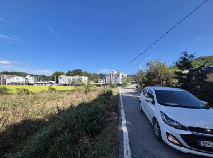 2025타경503480 법원경매 사진5 | 세종 장군면 대지 경매