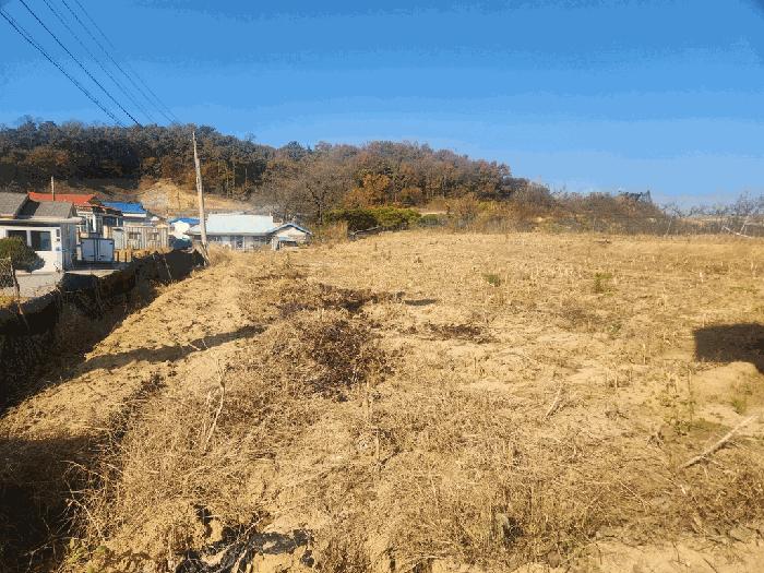세종특별자치시 연서면 쌍전리 116 법원경매 물건 대표사진
