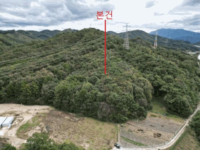 충북 제천시 봉양읍 장평리 산145-1 임야 경매 물건 사진