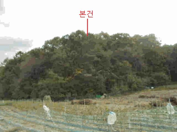 충북 제천시 봉양읍 장평리 산145-1 임야 사진 4